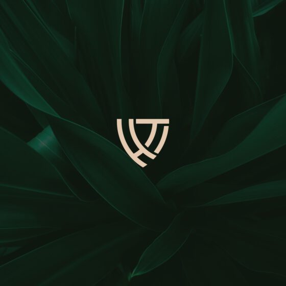 Impeka - Premium WordPress Multipurpose theme by Greatives